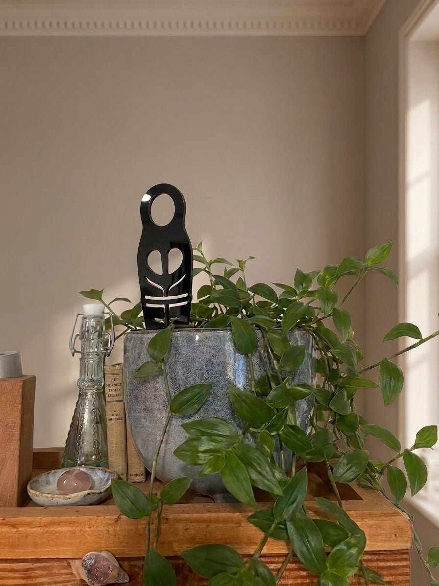 Nostalgic Kiwi Lolly Plant Stakes (Set of 4)
